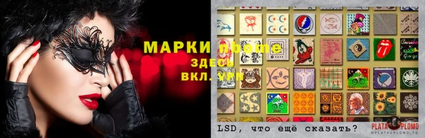 СК Инсар