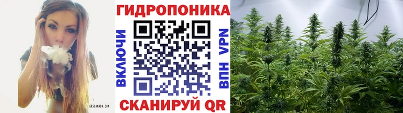 Конопля VHQ  Купить закладки  Десногорск 